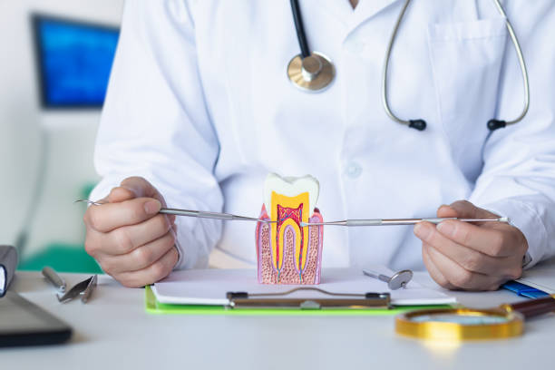 Best Emergency Dentist for Lost Fillings or Crowns in Rmel By The Sea, CA